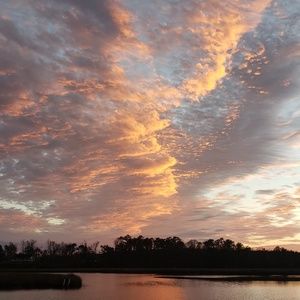 Meet your Posher, Ken